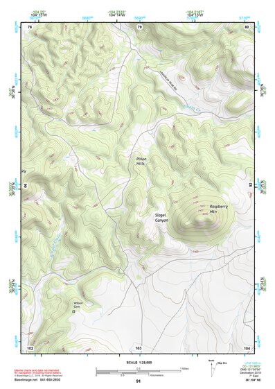 36104NE Page 91 Raton Topo Preview 1