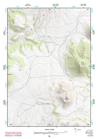 36104NE Page 92 Raton Topo Preview 1