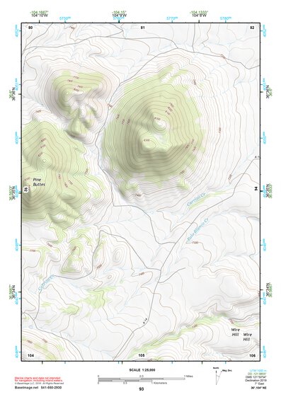 36104NE Page 93 Raton Topo Preview 1