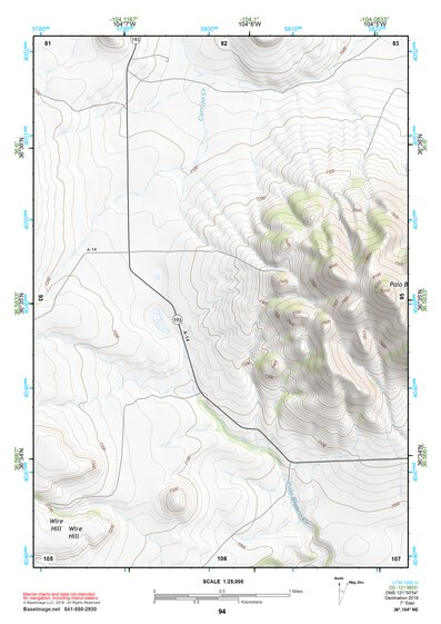 36104NE Page 94 Raton Topo Preview 1