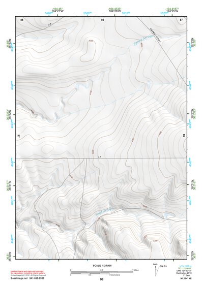 36104NE Page 98 Raton Topo Preview 1