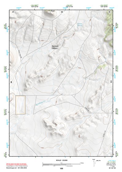 36104NE Page 100 Raton Topo Preview 1