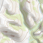 36104NE Page 105 Raton Topo Preview 3