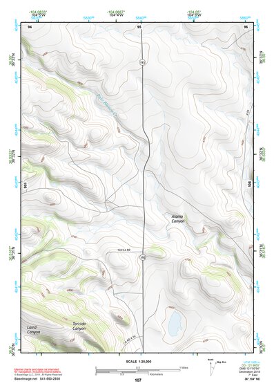 36104NE Page 107 Raton Topo Preview 1