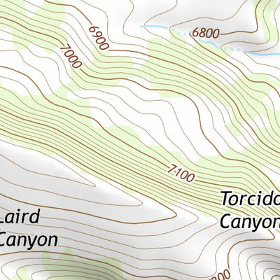 36104NE Page 107 Raton Topo Preview 3