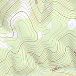 36104NW Page 1 Raton Topo Preview 2