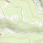 36104NW Page 2 Raton Topo Preview 2