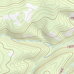36104NW Page 5 Raton Topo Preview 2