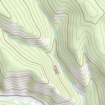 36104NW Page 24 Raton Topo Preview 3