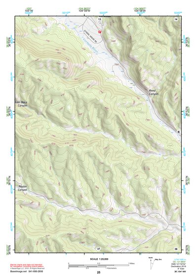 36104NW Page 25 Raton Topo Preview 1