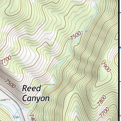 36104NW Page 25 Raton Topo Preview 3