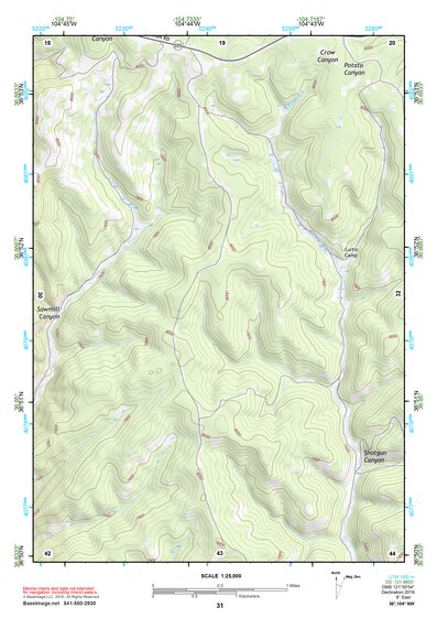 36104NW Page 31 Raton Topo Preview 1