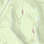 36104NW Page 31 Raton Topo Preview 2
