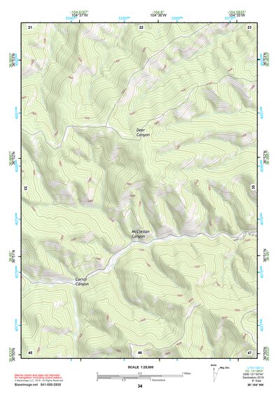 36104NW Page 34 Raton Topo Preview 1