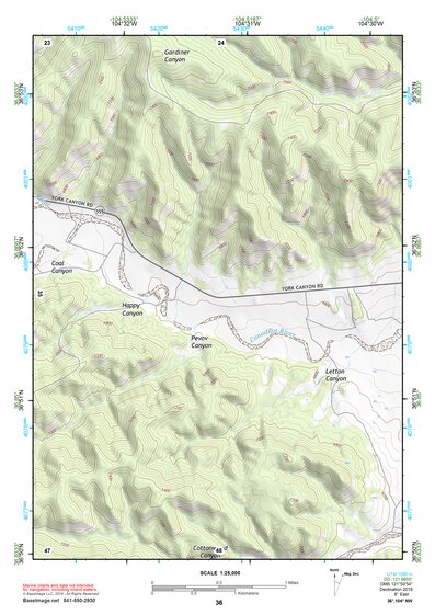 36104NW Page 36 Raton Topo Preview 1
