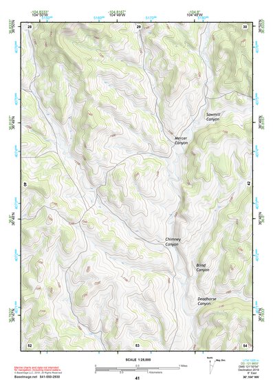 36104NW Page 41 Raton Topo Preview 1
