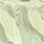 36104NW Page 51 Raton Topo Preview 3