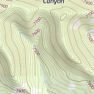 36104NW Page 51 Raton Topo Preview 3