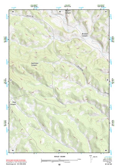 36104NW Page 52 Raton Topo Preview 1