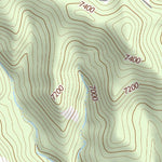 36104NW Page 57 Raton Topo Preview 2