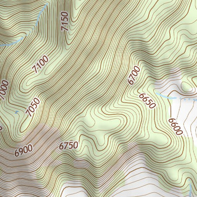 36104NW Page 58 Raton Topo Preview 3