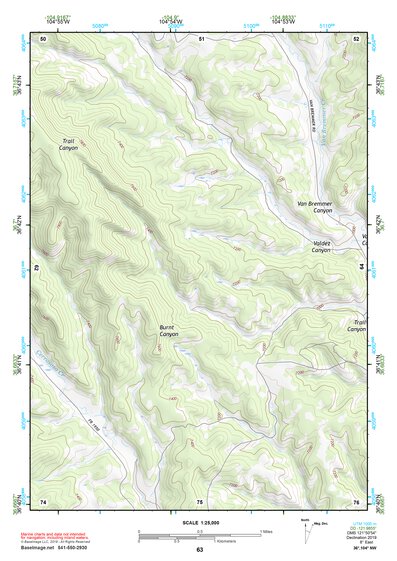 36104NW Page 63 Raton Topo Preview 1