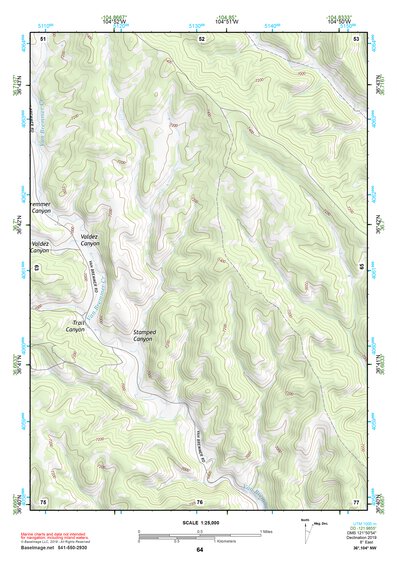 36104NW Page 64 Raton Topo Preview 1