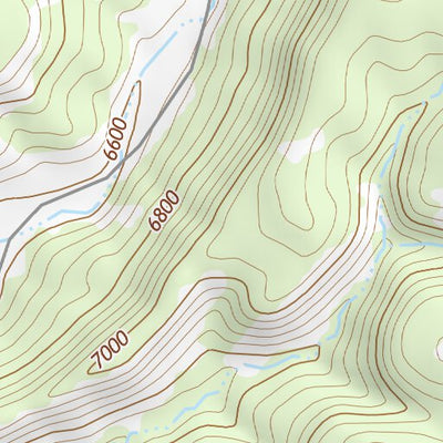 36104NW Page 66 Raton Topo Preview 3