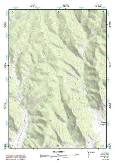 36104NW Page 68 Raton Topo Preview 1