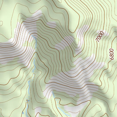 36104NW Page 69 Raton Topo Preview 3