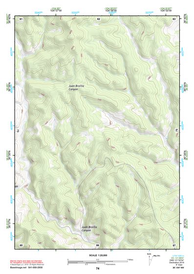 36104NW Page 74 Raton Topo Preview 1