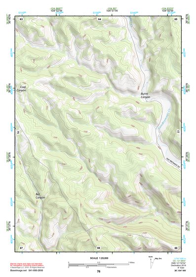 36104NW Page 76 Raton Topo Preview 1
