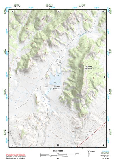36104NW Page 79 Raton Topo Preview 1