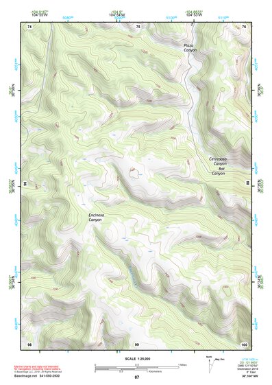 36104NW Page 87 Raton Topo Preview 1