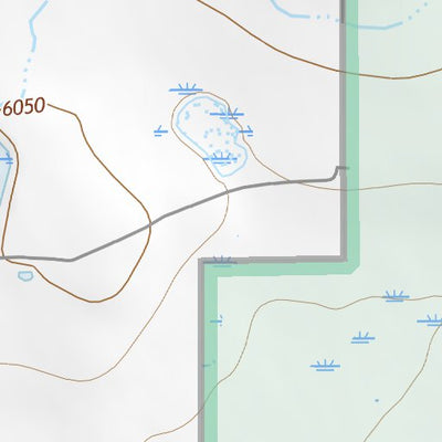 36104NW Page 94 Raton Topo Preview 2