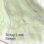 36104NW Page 97 Raton Topo Preview 2