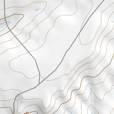 36104SE Page 25 Springer Topo Preview 2