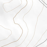 36104SE Page 38 Springer Topo Preview 2