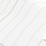 36104SW Page 22 Springer Topo Preview 2