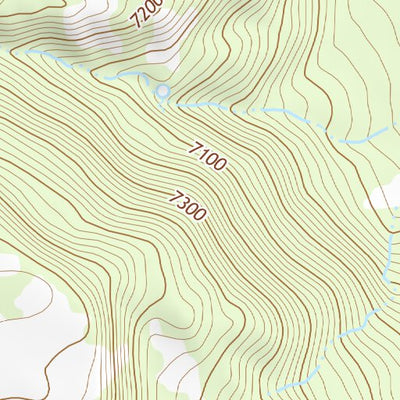 36104SW Springer Topo Bundle Preview 3