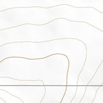 36104SW Page 68 Springer Topo Preview 2