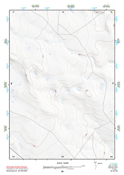 36104SW Page 90 Springer Topo Preview 1