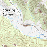 36105NE Page 23 Wheeler Peak Topo Preview 2