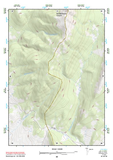 36105NE Page 43 Wheeler Peak Topo Preview 1