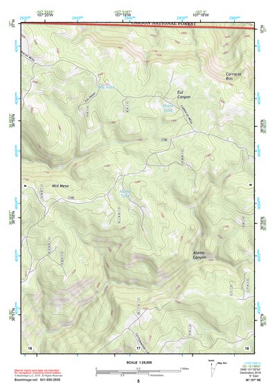 36107NE Page 5 Navajo Reservoir Topo Preview 1