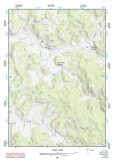 36107NE Page 29 Navajo Reservoir Topo Preview 1