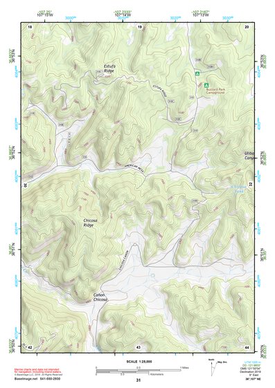 36107NE Page 31 Navajo Reservoir Topo Preview 1