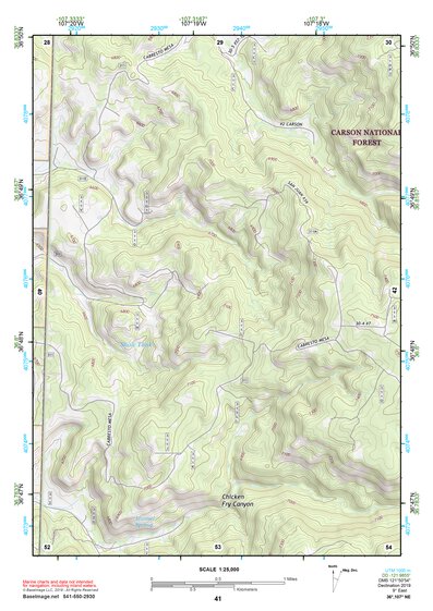 36107NE Page 41 Navajo Reservoir Topo Preview 1