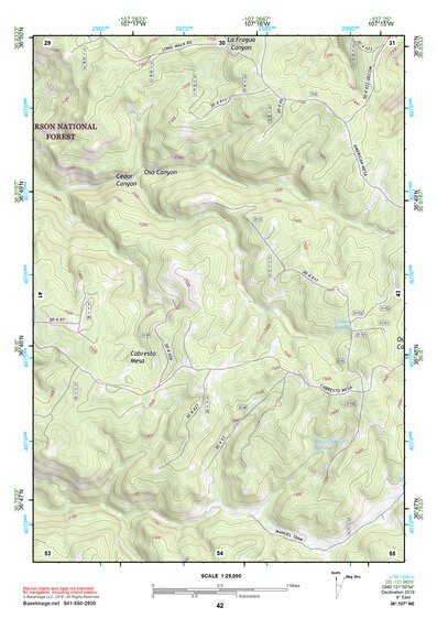 36107NE Page 42 Navajo Reservoir Topo Preview 1