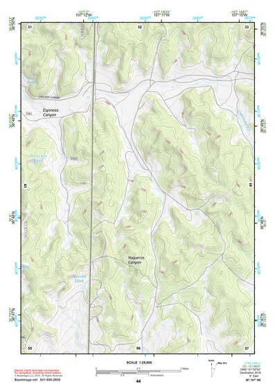 36107NE Page 44 Navajo Reservoir Topo Preview 1